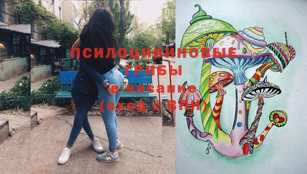 тгк Калининец