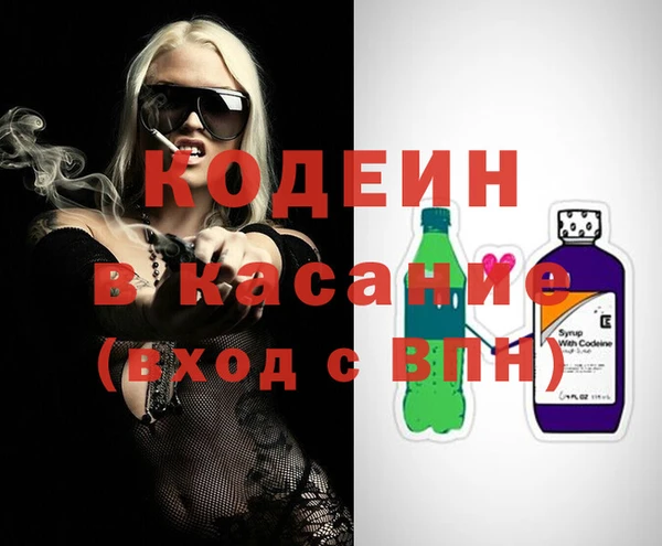 хмурый Нестеровская
